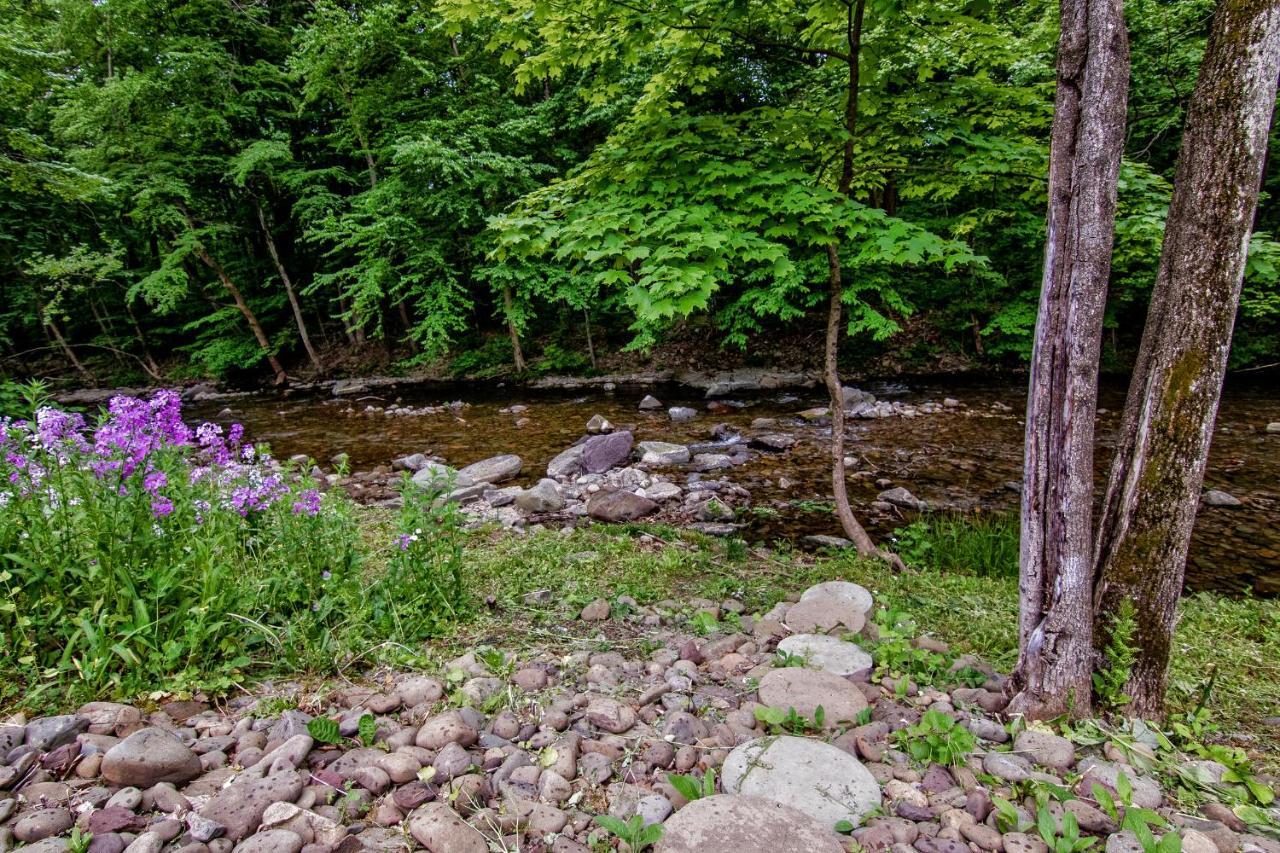 Cabin By The Creek With Private Creek Access Tannersville Luaran gambar